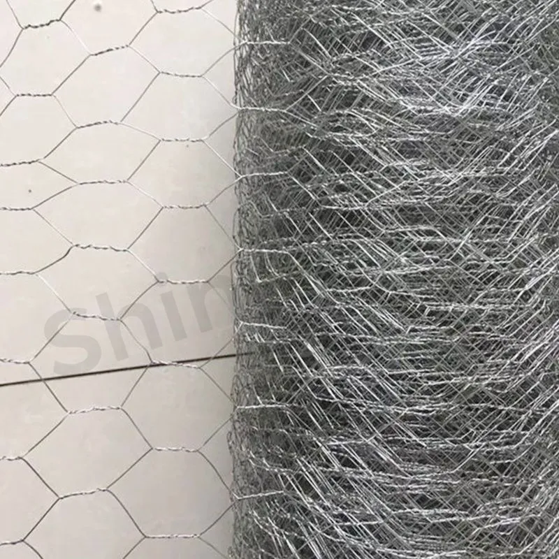 Hexgonal Wire Mesh