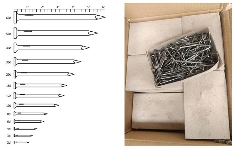 Common nail