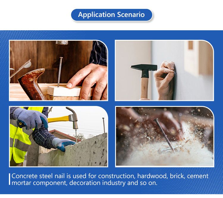 Common nail